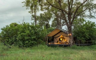 Gomoti Plains Camp [320x200]